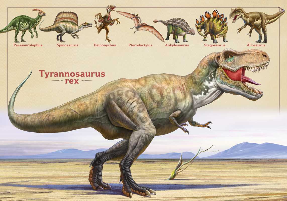 Magnificent Book of Dinosaurs by Tom Jackson: Hardcover; 80 pages / English