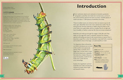 The Magnificent Book of Butterflies & Moths