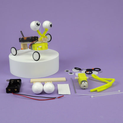 Bug Robot DIY Kit, Educational STEM Toy for Kids