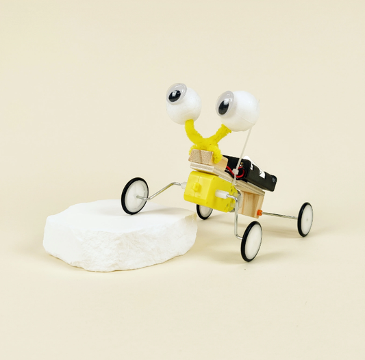 Bug Robot DIY Kit, Educational STEM Toy for Kids