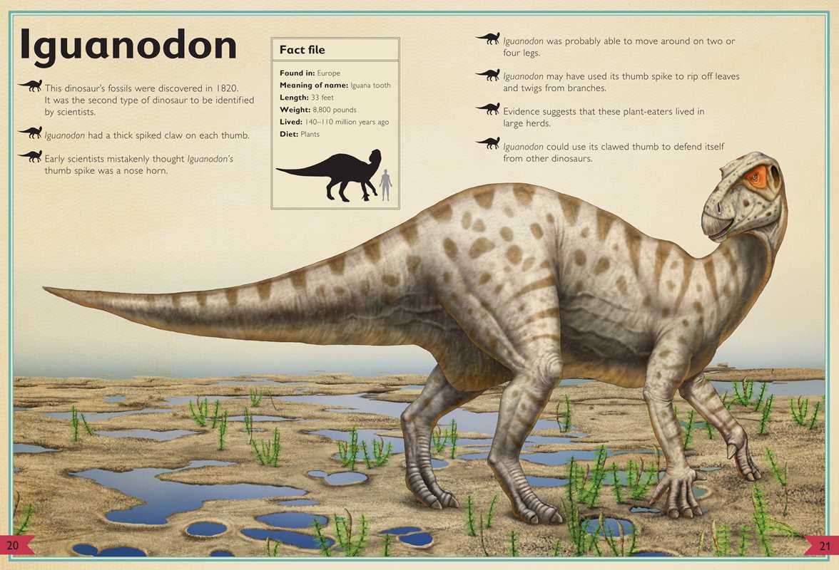 Magnificent Book of Dinosaurs by Tom Jackson: Hardcover; 80 pages / English